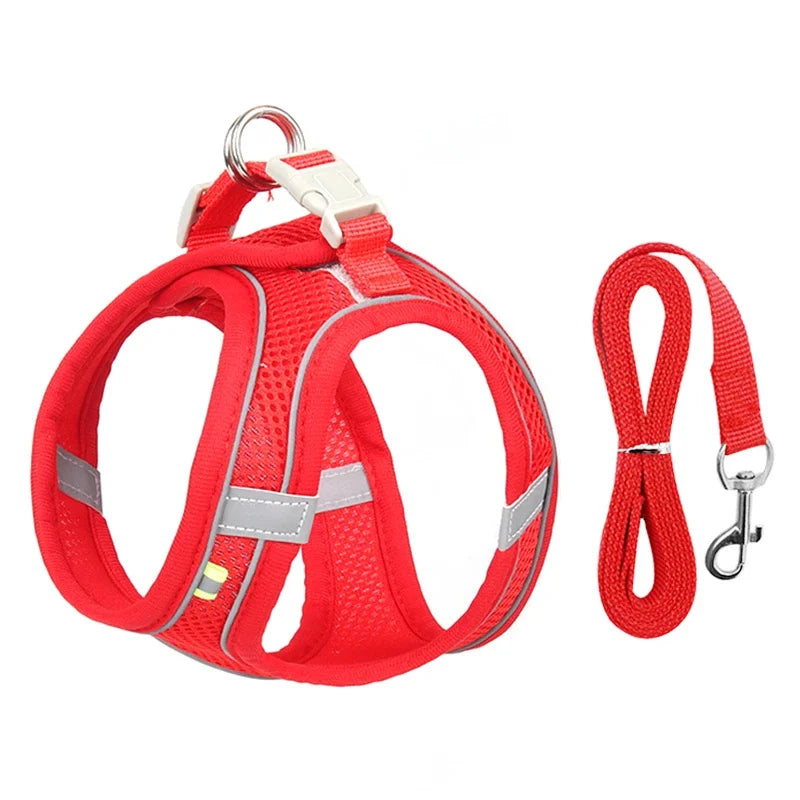 Set Imbracatura Regolabile per Cuccioli e Gatti – Nylon Riflettente