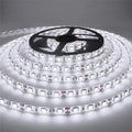 Striscia LED RGB 12V 5 m – 300 LED SMD2835, colori vivaci, flessibile