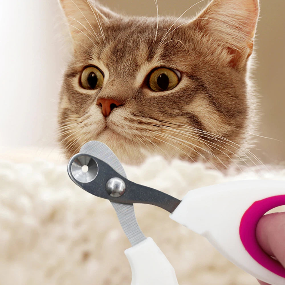Tagliaunghie per animali domestici in acciaio inox – Comfort e sicurezza