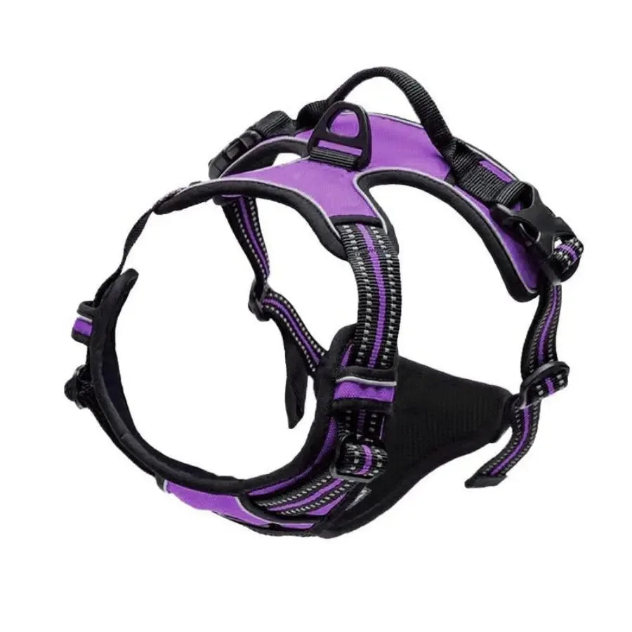 Set Collare e Imbrago a Gilet per Cani di Taglia Media e Piccola