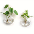 Terrario da parete in vetro con vaso cristallo rotondo - Kit da 2/4/6…