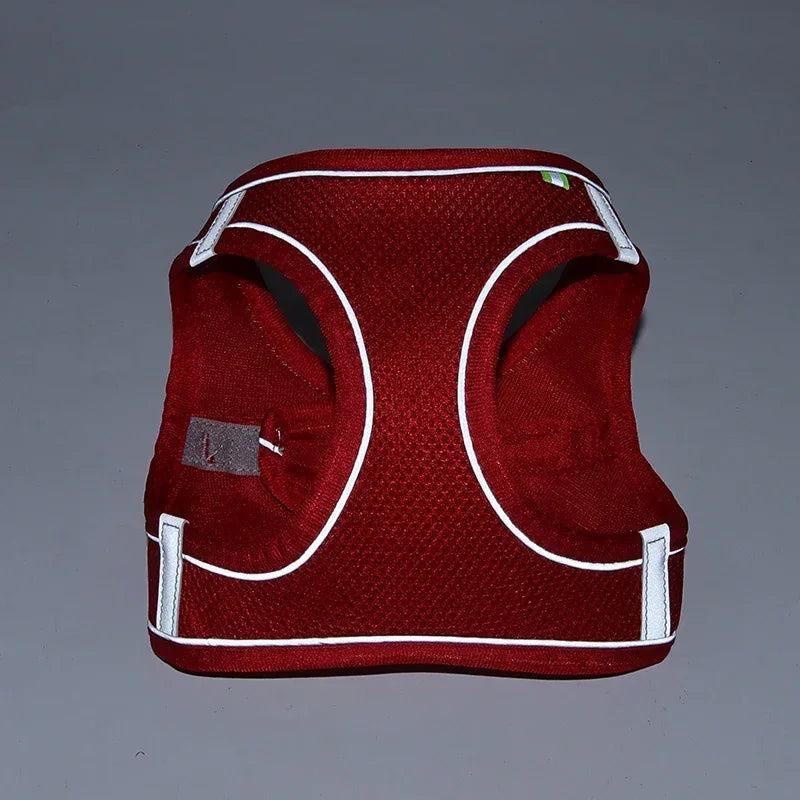 Imbracatura per Cani Piccoli con Guinzaglio, Harness Regolabile in Nylon,…