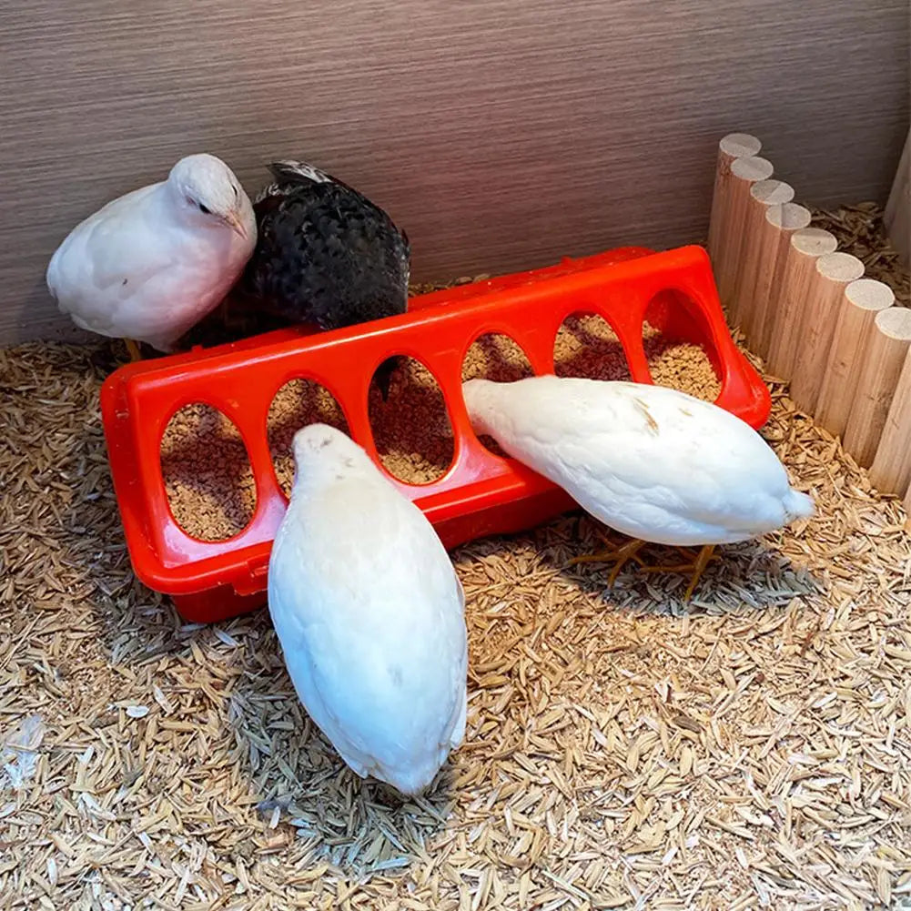 Rudin Chicken Feeder Automatic Water Feeder Water Food Dispenser Chicken Birds Chick Waterer Feeding Bucket Container ﻿