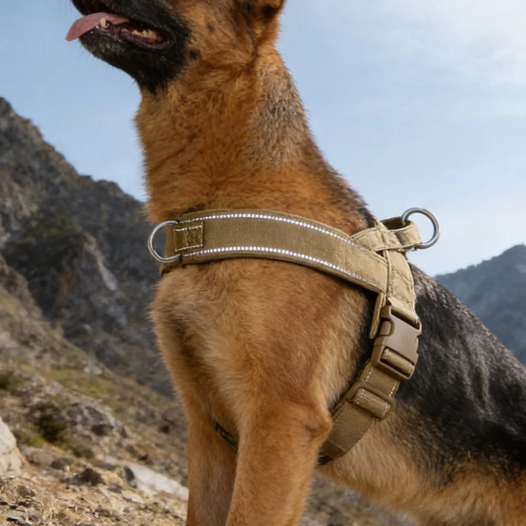 Imbracatura anti-tiro per cani grandi, resistente e riflettente