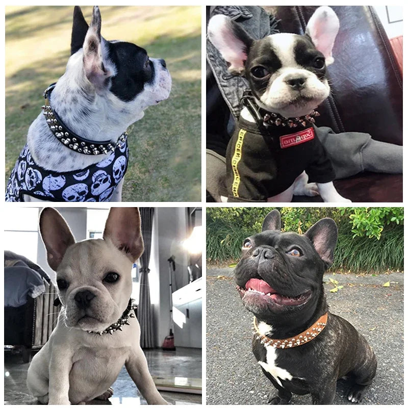 Collare per cane e gatto in pelle PU regolabile con rivetti punk e punte