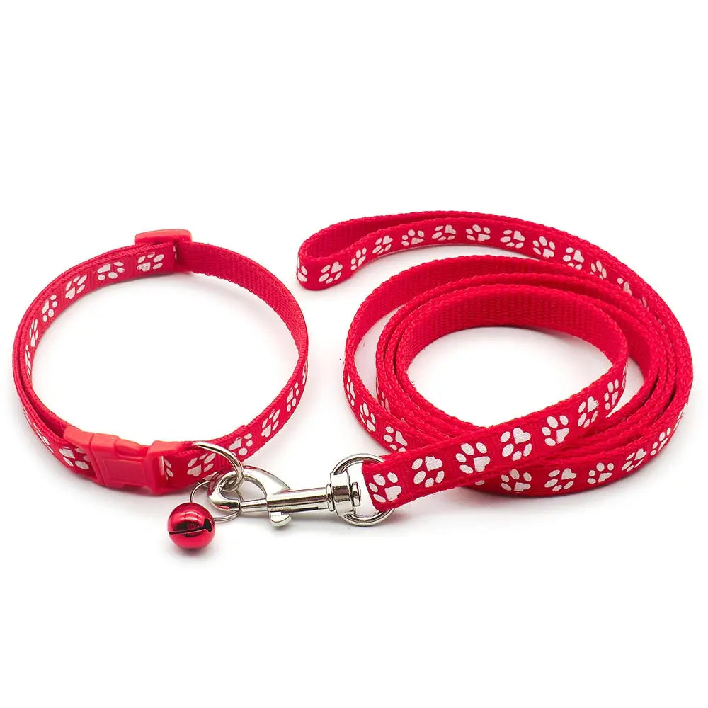 Set guinzaglio e collare per cucciolo 1,2 m in nylon resistente –…