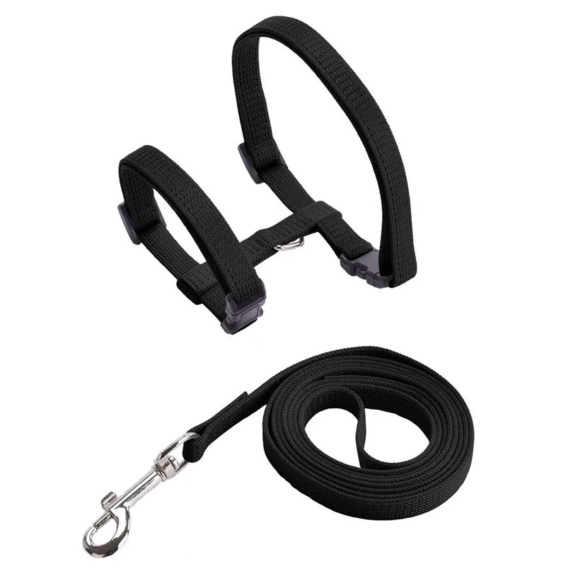 Collare regolabile in nylon per gatti e cuccioli – set con guinzaglio