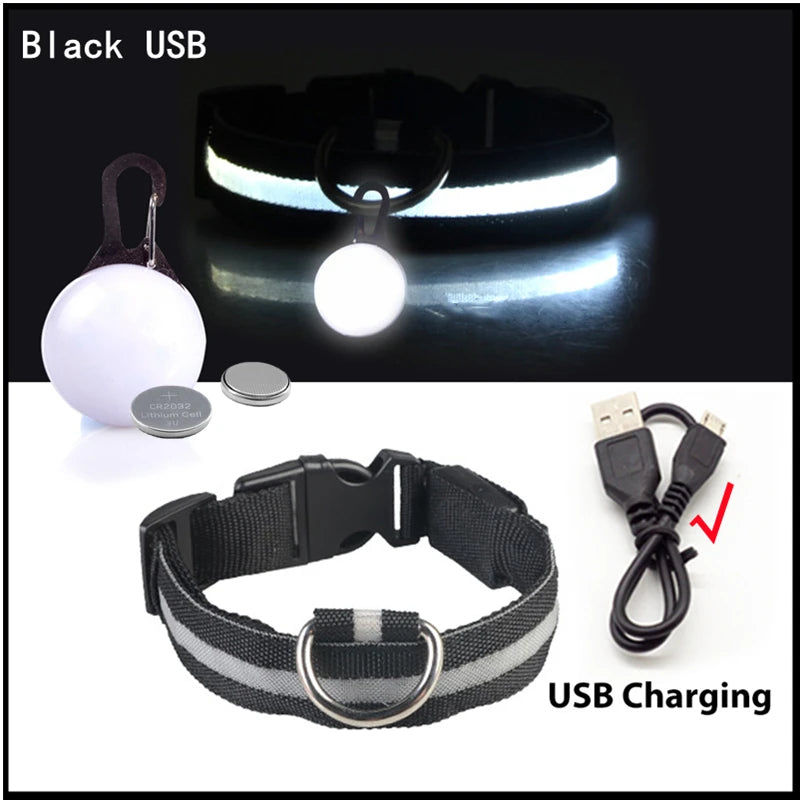 Collier lumineux pour chien rechargeable par USB avec pendentif détachable, collier LED de luxe pour la sécurité nocturne des petits chiens et chats, vente en gros