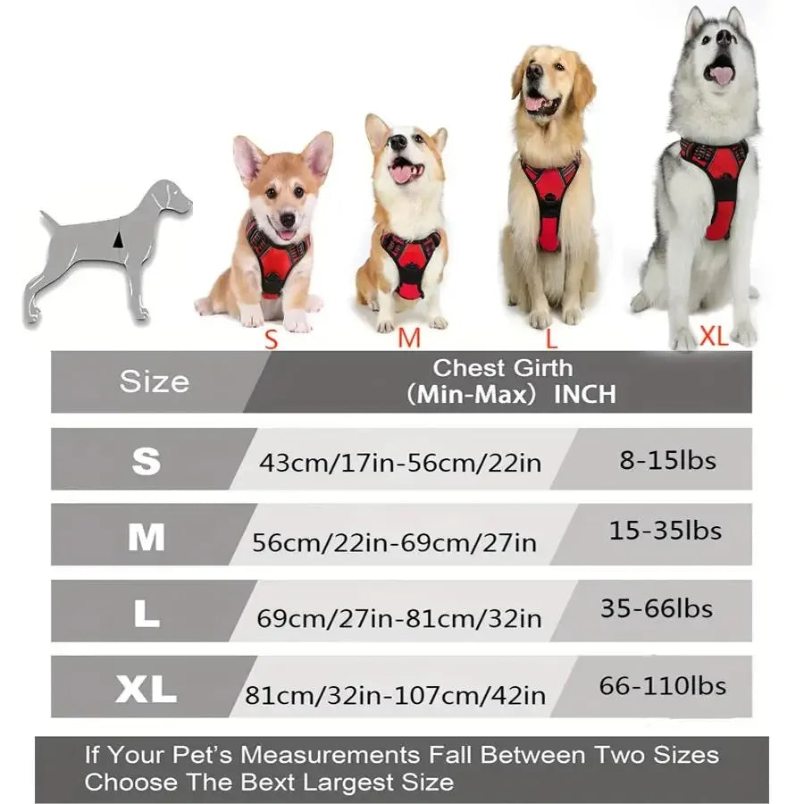 Set Collare e Imbrago a Gilet per Cani di Taglia Media e Piccola