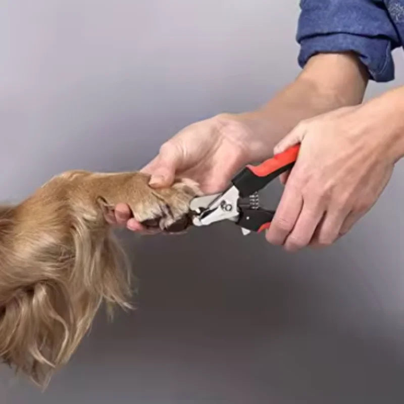 Forbici tagliaunghie professionali in acciaio inox per cani e gatti