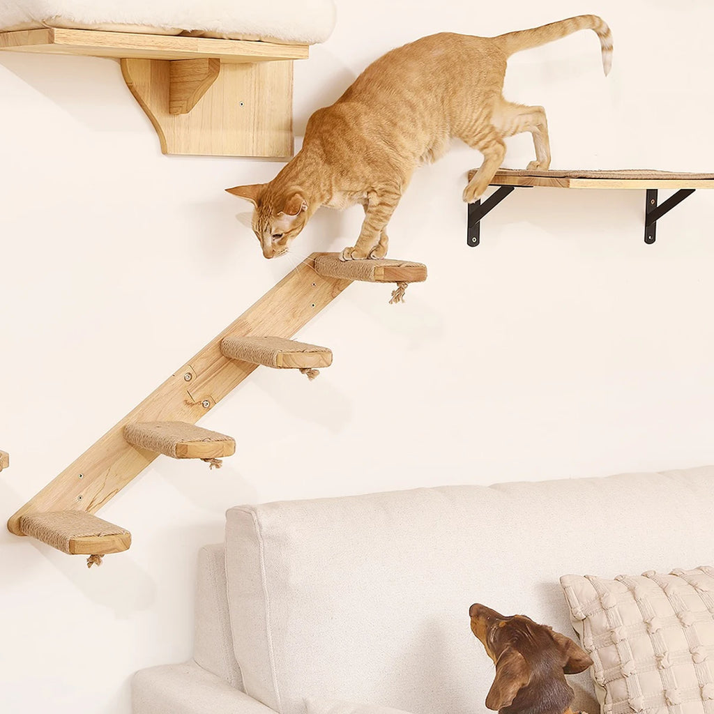 Amaca da parete per gatti – Tettoia arrampicata in legno, riposo e gioco