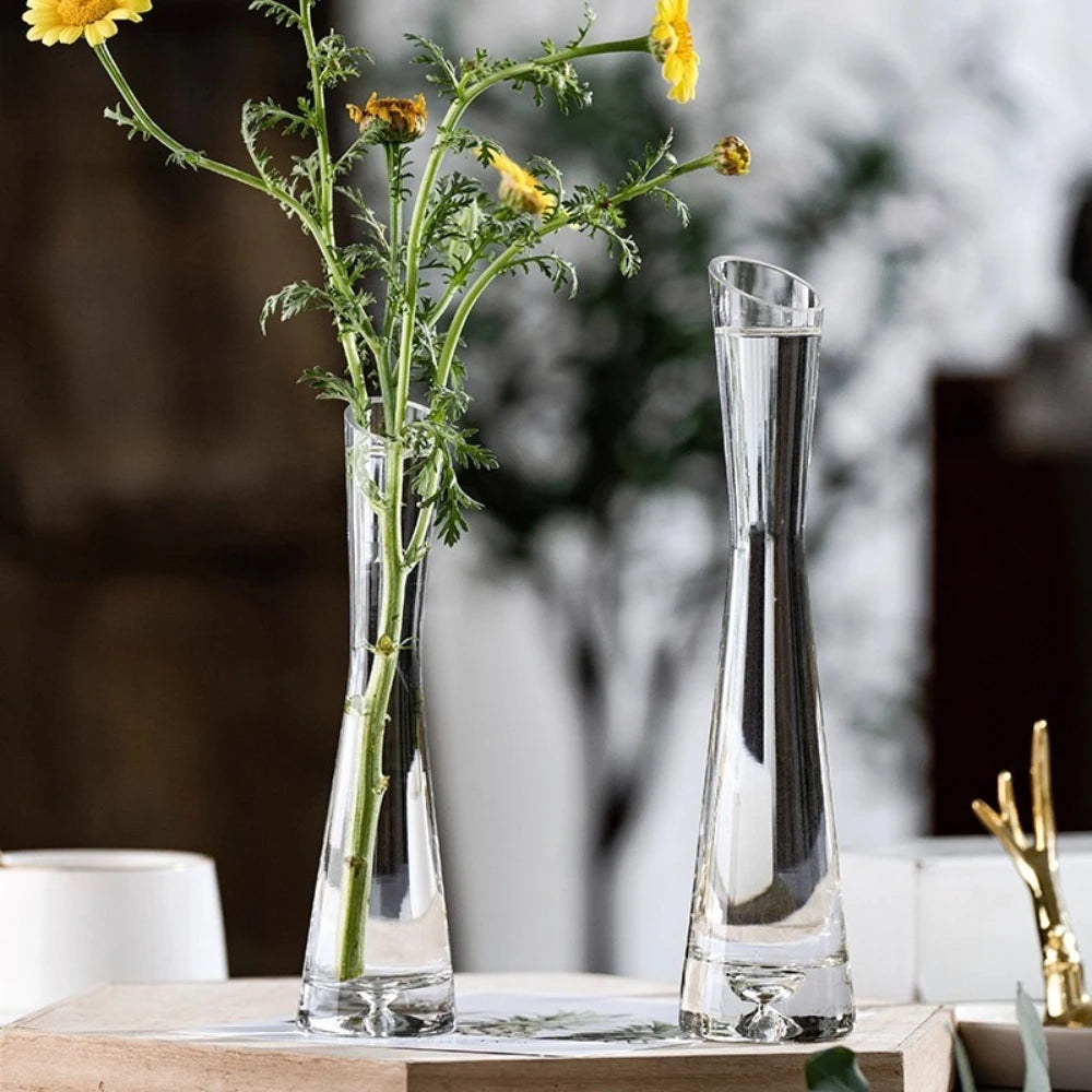 Creative European Style Transparent Glass Slanted Mouth Artistic Simple Vase Hydroponics Plant Flower VaseTable Home Decor