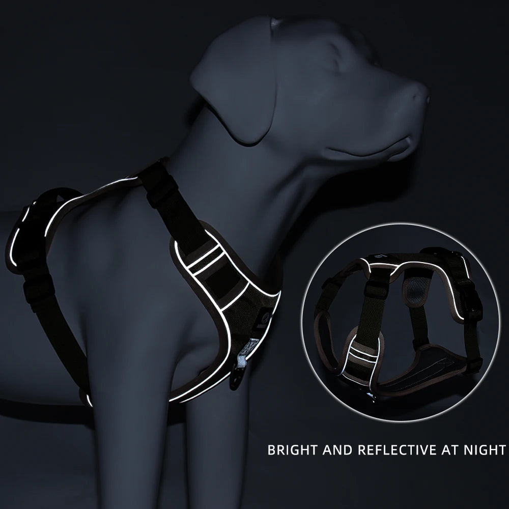 Imbracatura Canina Quick Release in Nylon, Traspirante e Regolabile