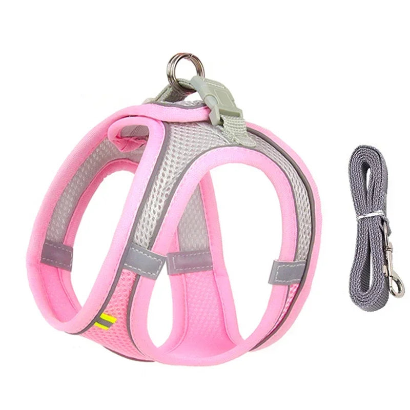 Imbracatura per Cani Piccoli con Guinzaglio, Harness Regolabile in Nylon,…