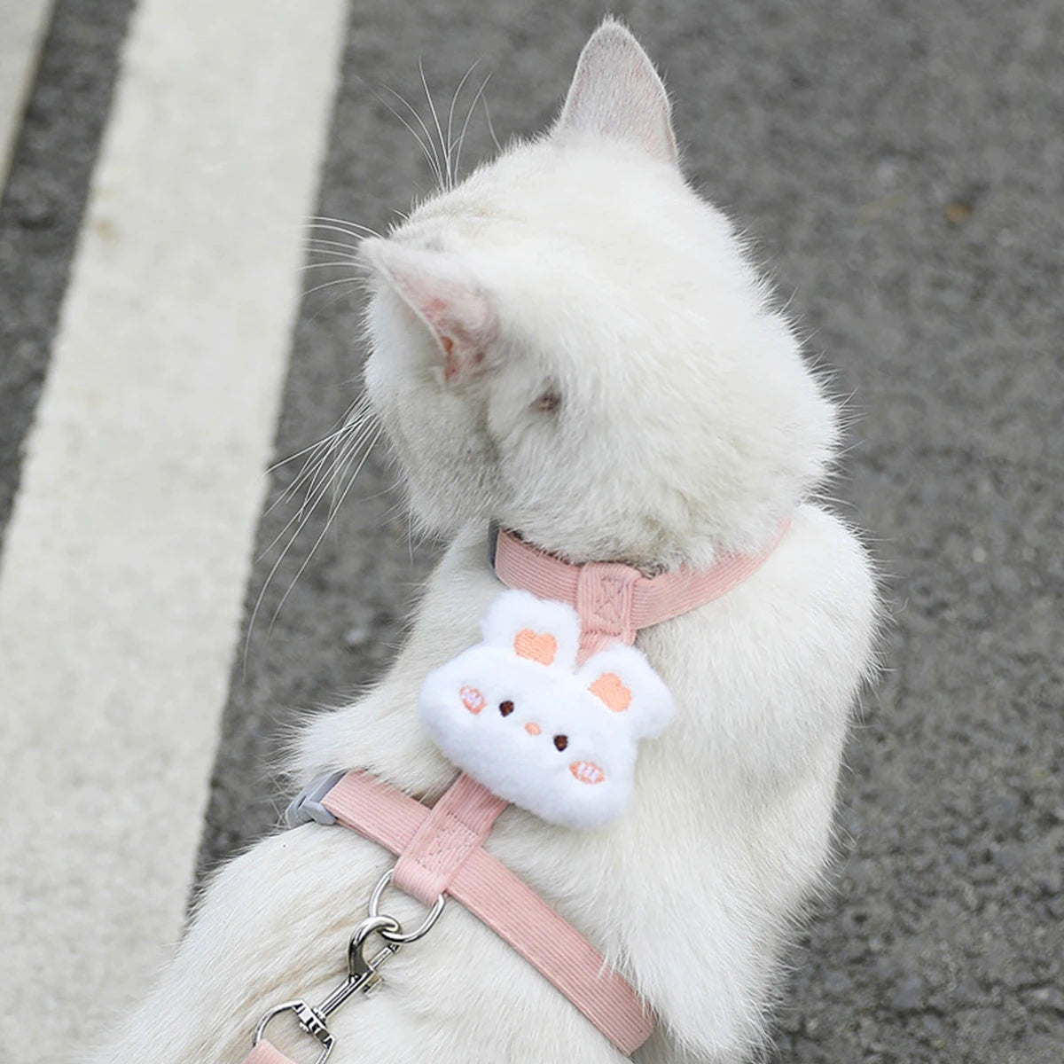 Set guinzaglio e pettorina regolabile per gatto – Comfort e sicurezza