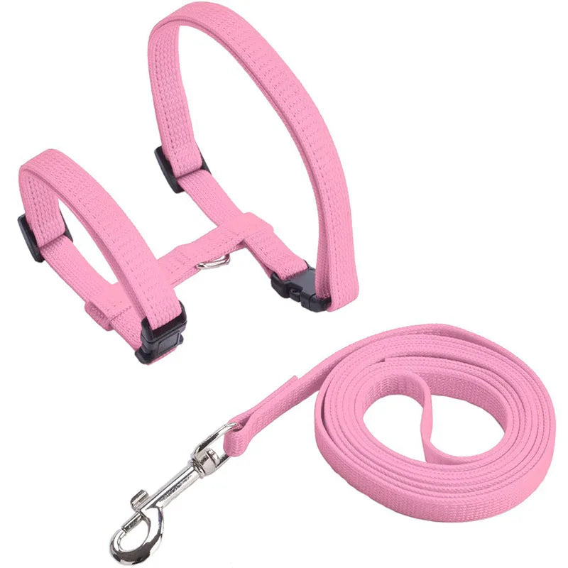 Collare regolabile in nylon per gatti e cuccioli – set con guinzaglio
