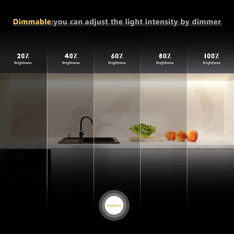 Striscia LED COB CCT 5 m, 608 LED/m, dimmabile 12‑24 V, temperatura colore…