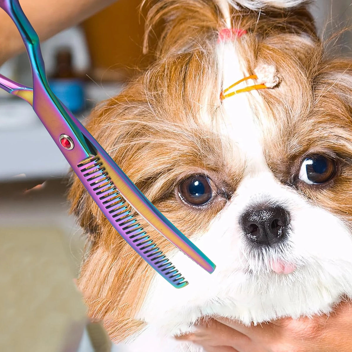 Forbici Curvate Doppio Punte per Grooming Canino – Scialbatura Professionale