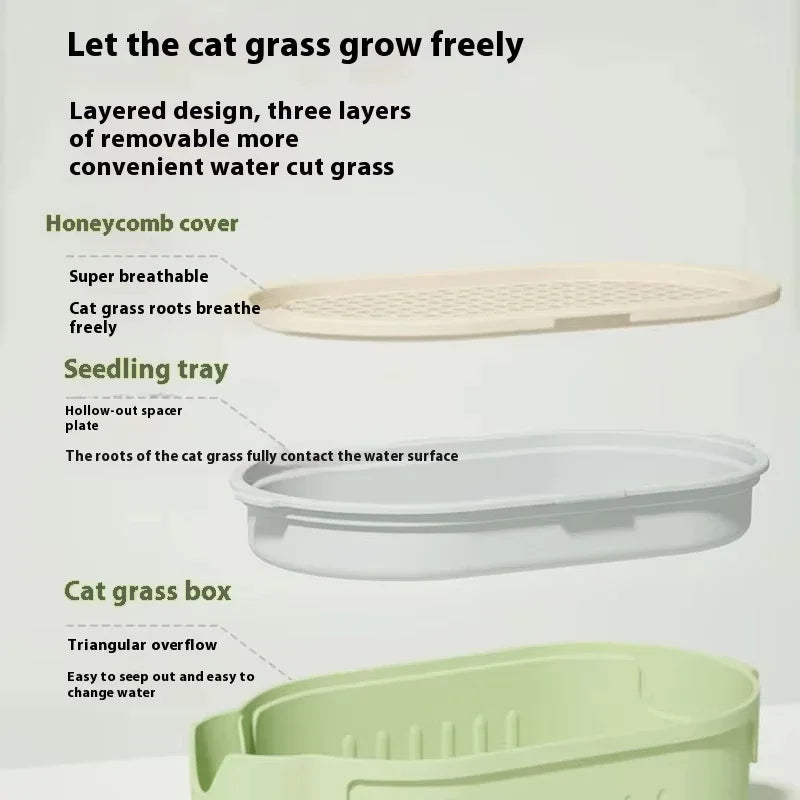Kit Pianta Erba Gatti Organica - Antiparassitario Naturale
