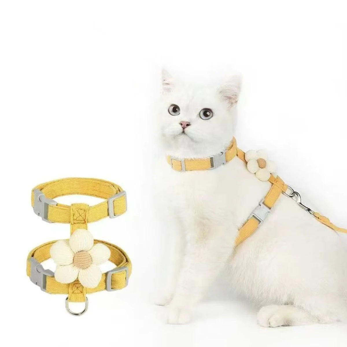 Set guinzaglio e pettorina regolabile per gatto – Comfort e sicurezza