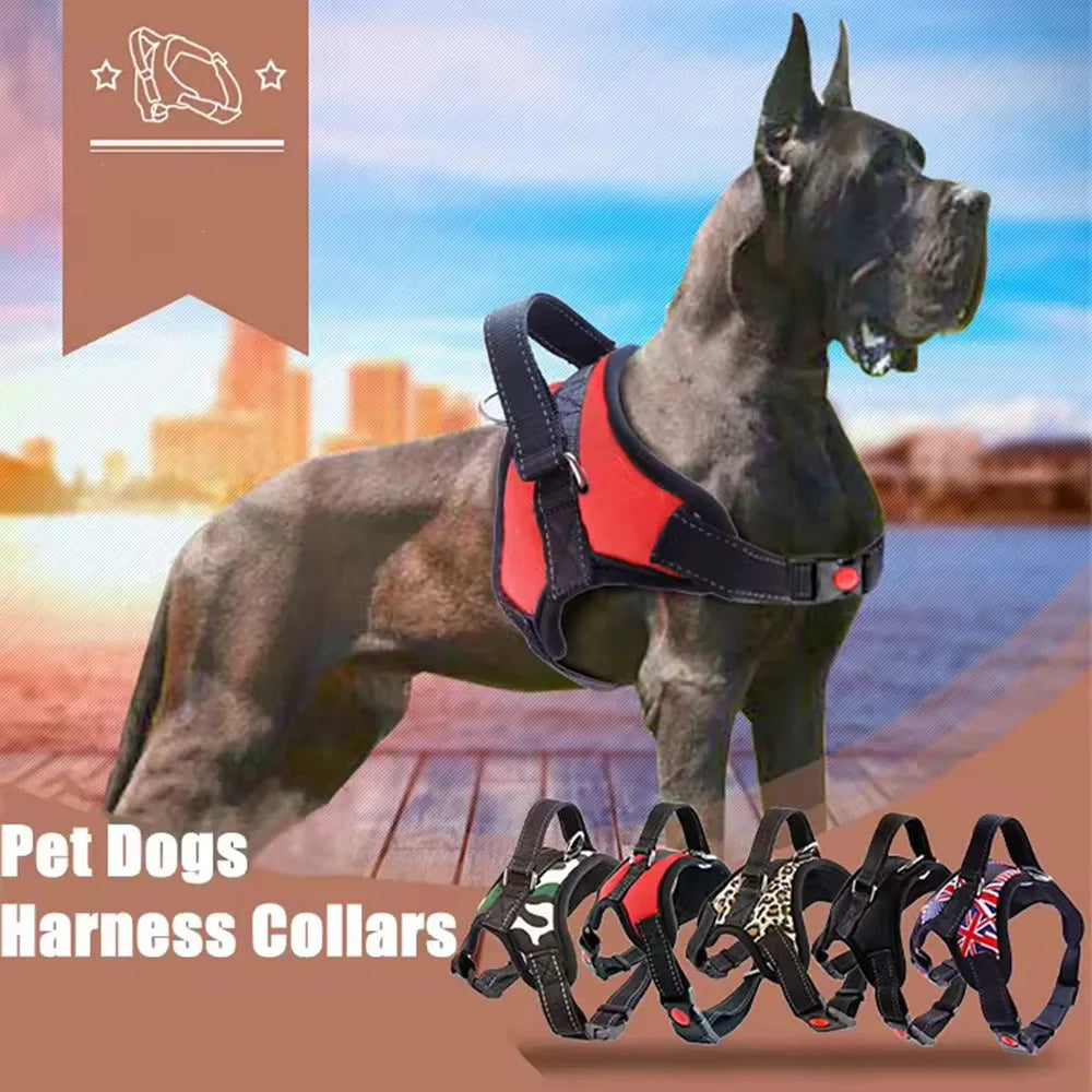 Imbracatura regolabile per cani di tutte le taglie – Vestaglia in nylon…