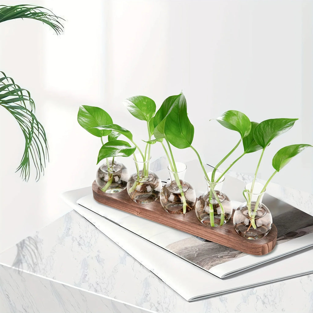 Plant Terrarium Glass Vase Modern Transparent with Wooden Tray, Hydroponics Propagation Station Indoor Desktop Decor