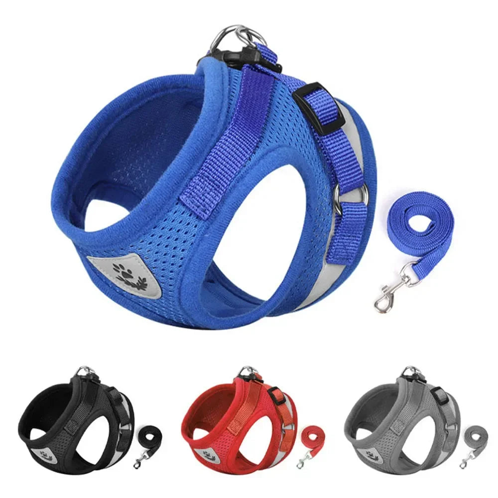 Set guinzaglio e pettorina regolabile riflettente in mesh per cani e gatti