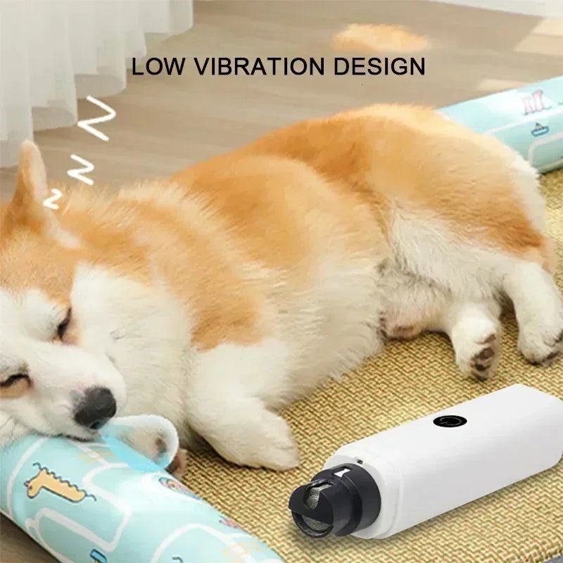 Clipper elettrici ricaricabili per unghie di cane e gatto con luce LED