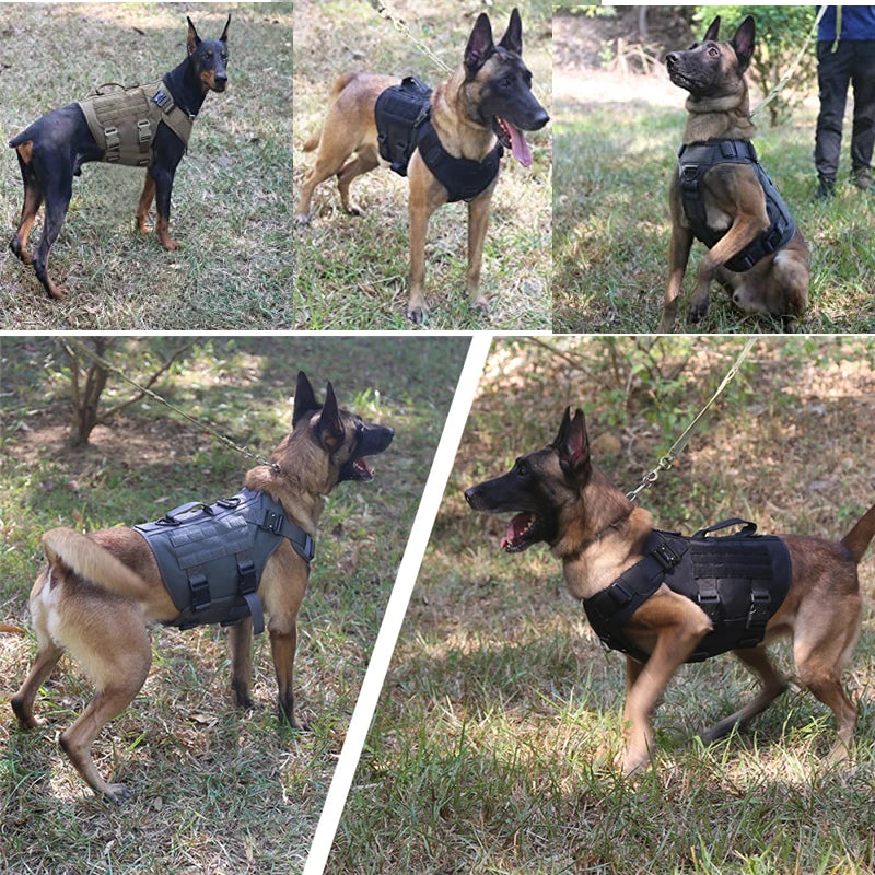 Giubba tattica militare per cani – Set imbracatura e guinzaglio