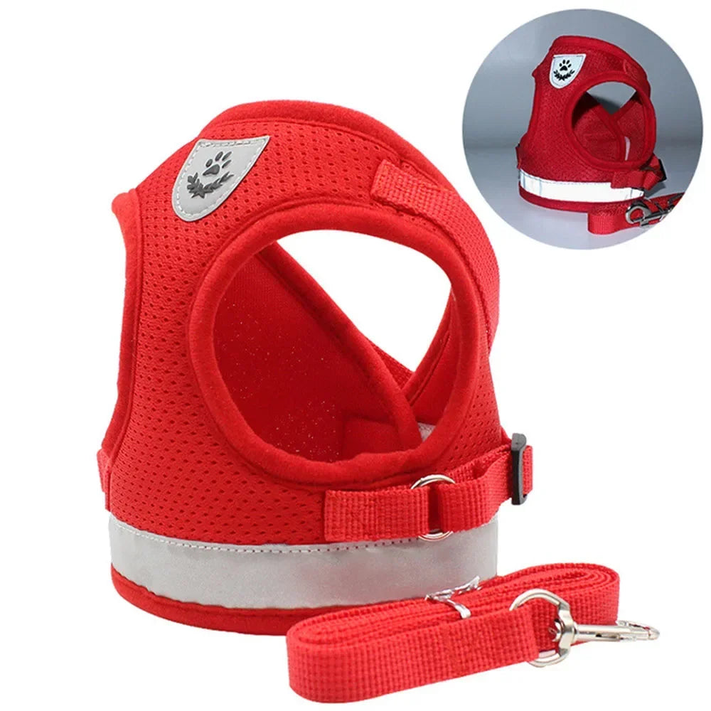 Set guinzaglio e pettorina regolabile riflettente in mesh per cani e gatti