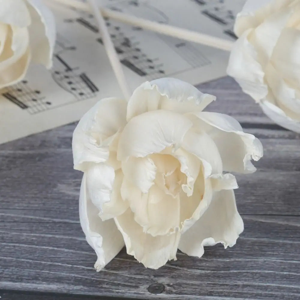 Durable Dyeable For Home Handmade Fragrance Living Room Volatile Tongcao Flower Aromatic Incense Dried Flowers Diffuser Sticks