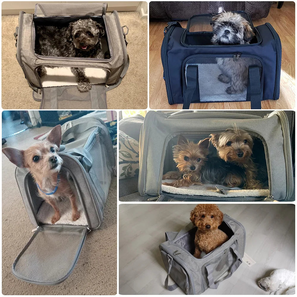 Zaino trasportino per cani e gatti – borsa morbida, impermeabile e omologata