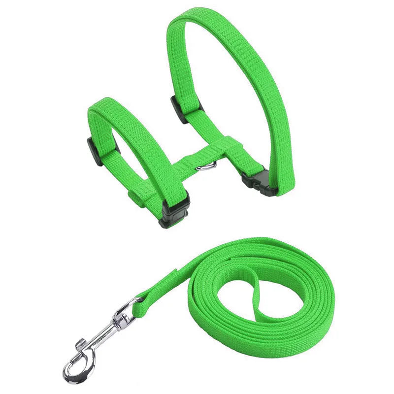 Collare regolabile in nylon per gatti e cuccioli – set con guinzaglio