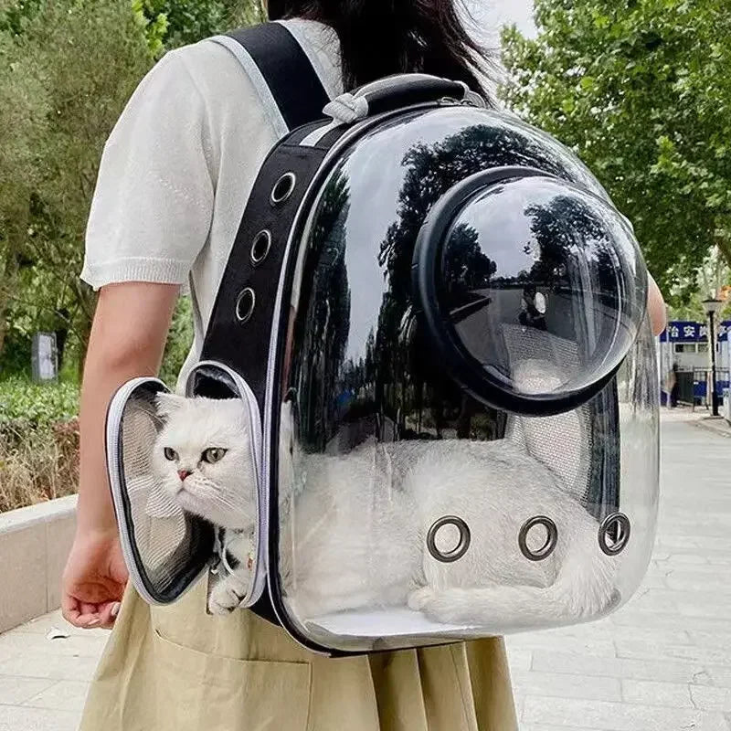 Sac à dos de transport portable et transparent pour chat, sac à dos respirant à bulle pour animaux de compagnie, capsule de voyage pour petits animaux, chiots et chatons