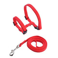 Collare regolabile in nylon per gatti e cuccioli – set con guinzaglio