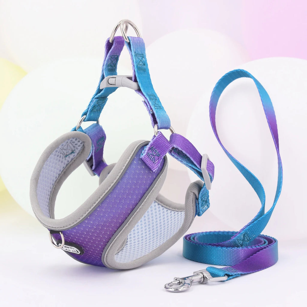 Imbracatura regolabile Step‑in riflettente per cani e gatti – vestizione…