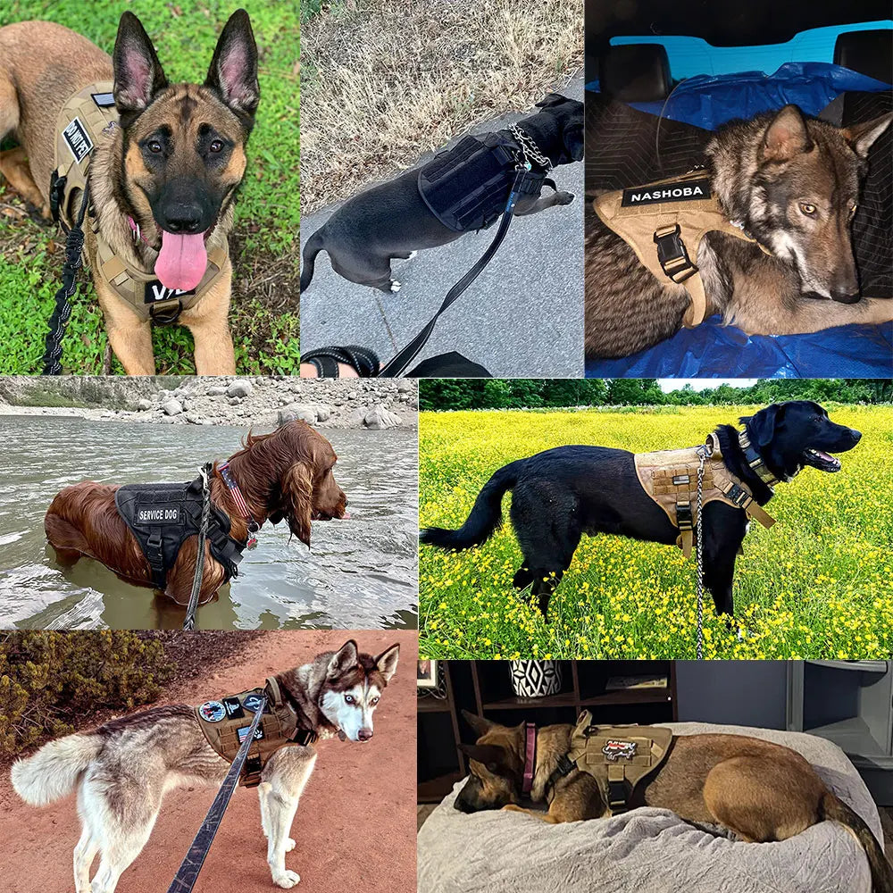 Imbracatura Militare per Cani Taglia Grande - Tactical Vest in Nylon 1050D