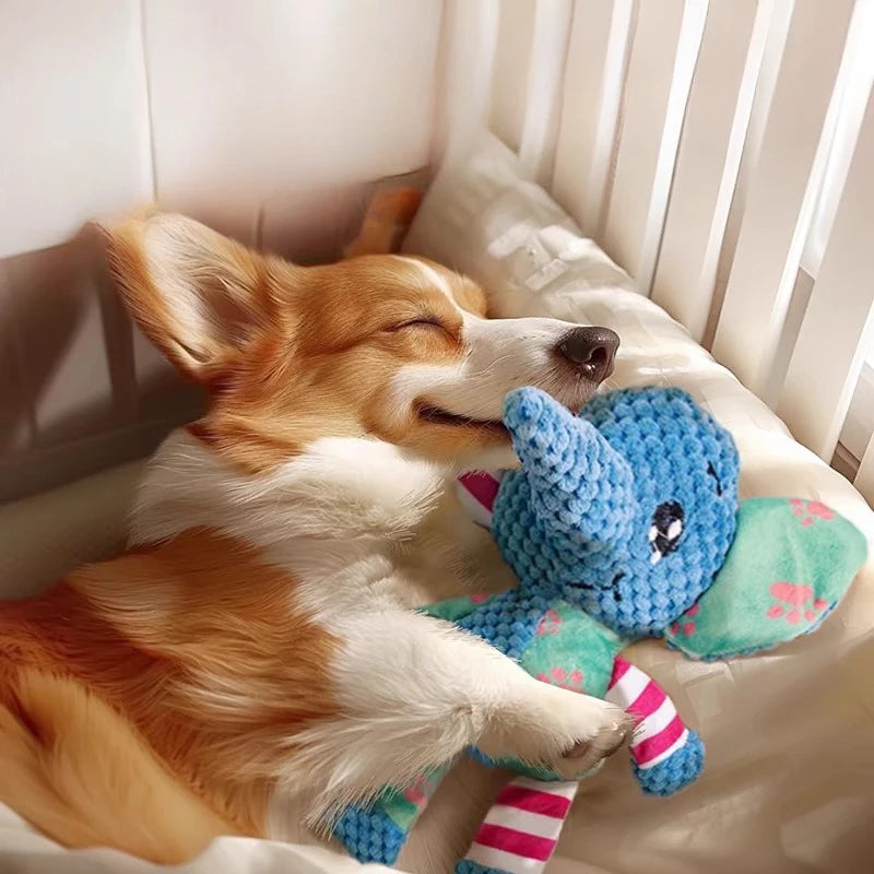 Gioco di peluche per cani – Animale carino, resistente al morso, con fischio
