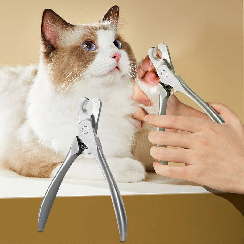 Tagliaunghie professionale in acciaio inox per cani e gatti – taglio sicuro e…