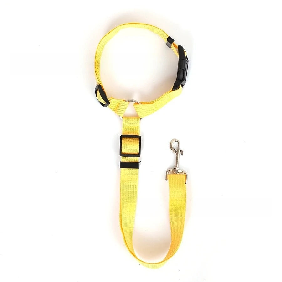 Cintura di Sicurezza per Auto e Guinzaglio in Nylon Regolabile – Accessorio per…