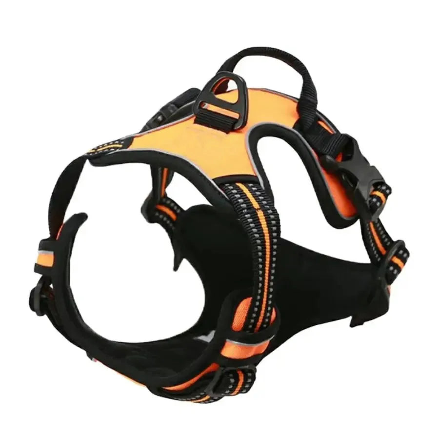 Set Collare e Imbrago a Gilet per Cani di Taglia Media e Piccola