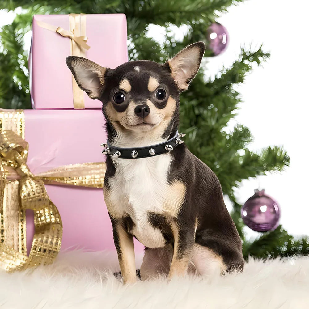 Collare con borchie in pelle PU per cani di piccola taglia – stile punk