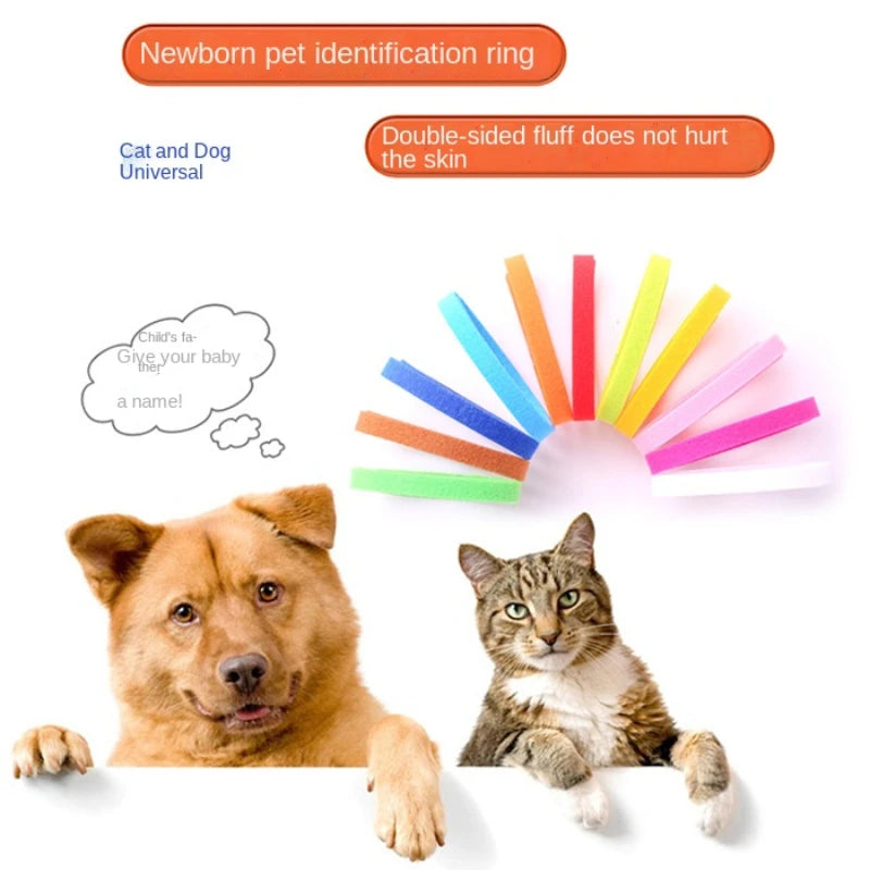 Collari identificativi in nylon per cani e gatti – set da 12 pezzi regolabili