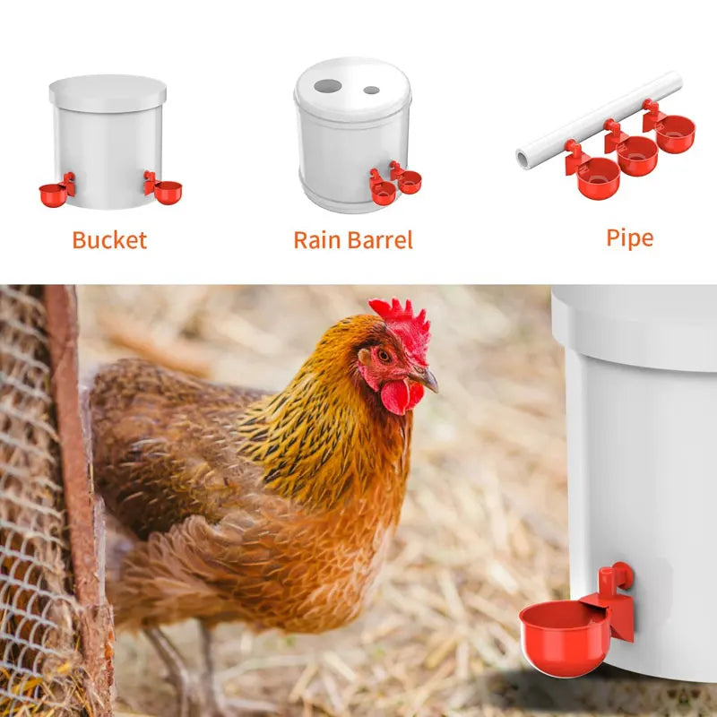 Distributore d'Acqua Automatico per Pollame – 12 Boccette Grande Capacità