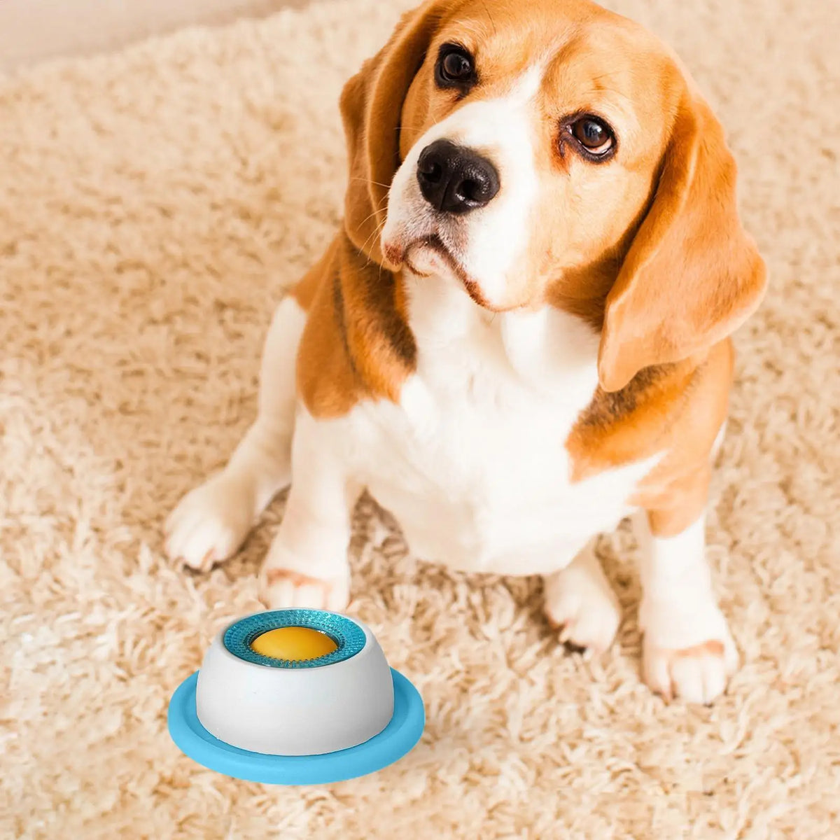 Giochi Lick Toys Per Cani Slow Feeder Dispensatore Cibo Interattivo Per…