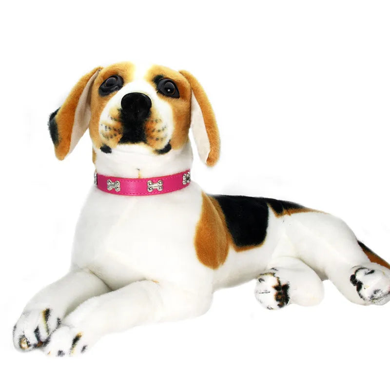 Collare in Pelle per Cani Piccoli e Medi, Breakaway Jeweled Personalizzabile