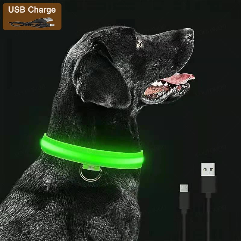 Collare LED Luminoso per Cani e Gatti - USB Ricaricabile, 3 Modalità,…