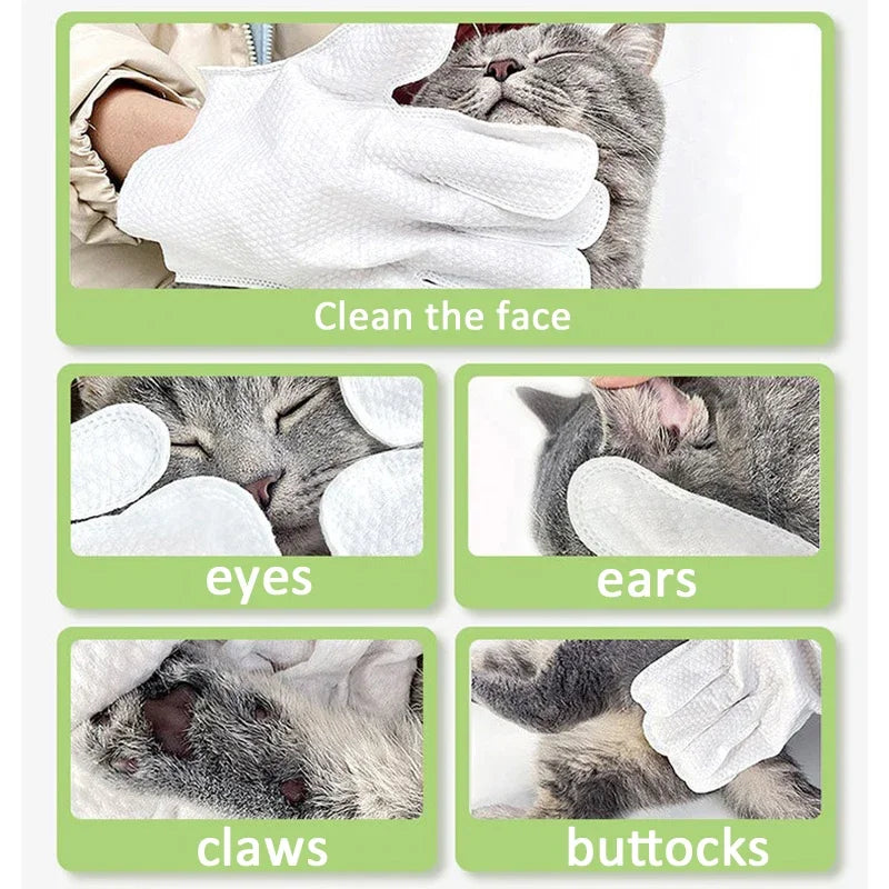 Guanti pulizia animali – set 6 pezzi per cani e gatti, senza acqua