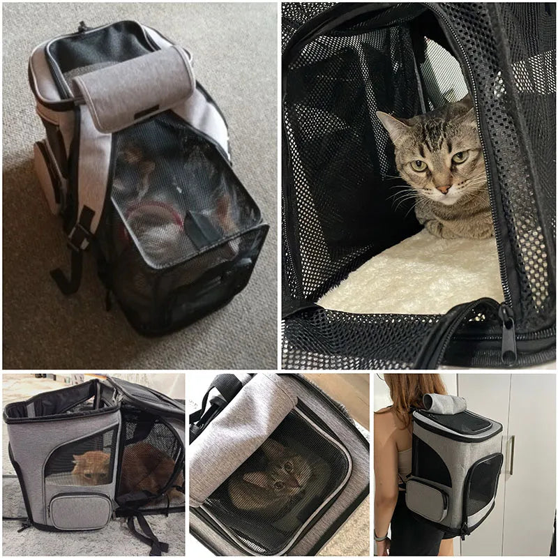 Zaino Trasporto Animali Respiraibile, Pieghevole, Capiente per Gatti e Cani…