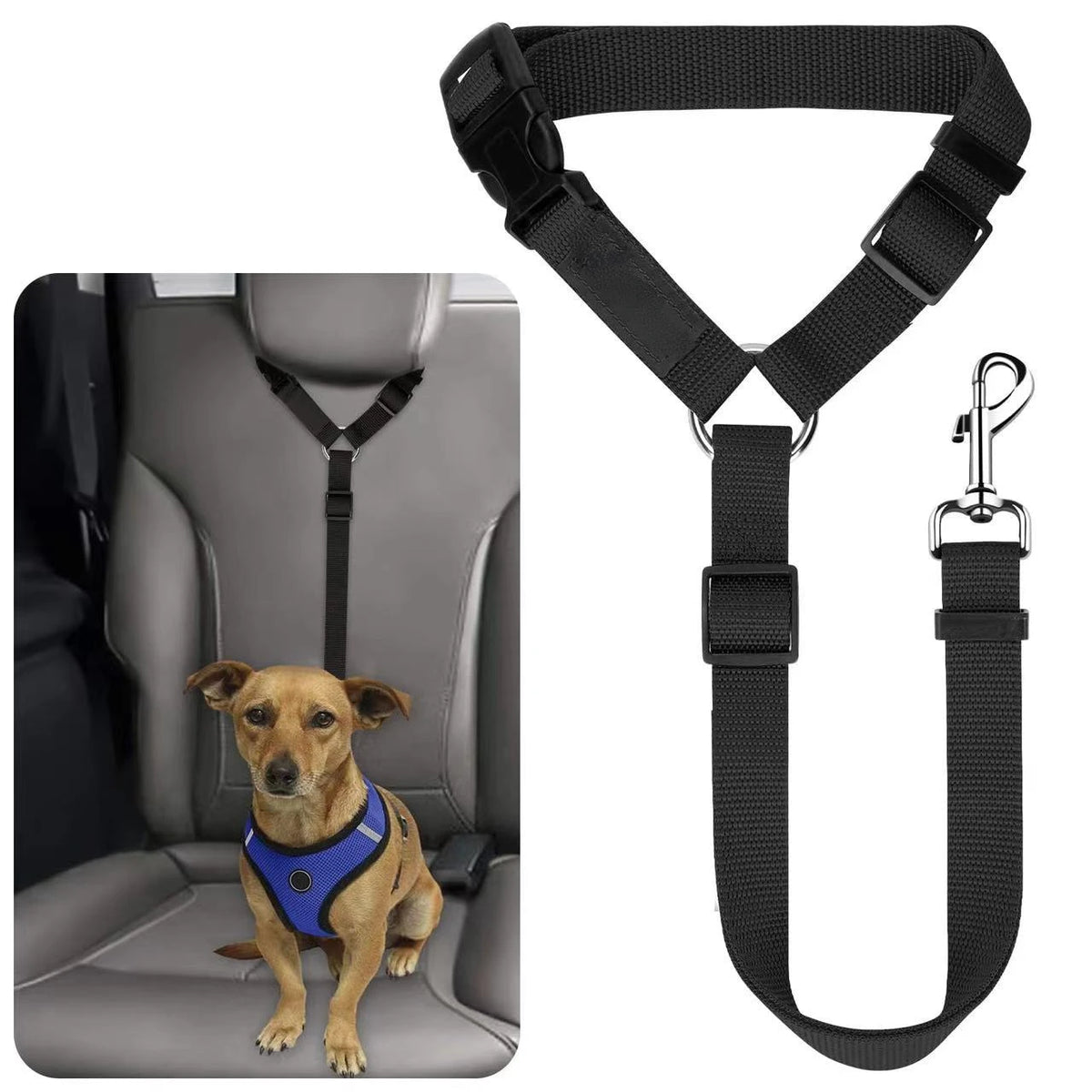 Cintura di Sicurezza per Auto e Guinzaglio in Nylon Regolabile – Accessorio per…